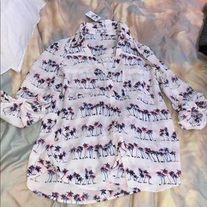 Tropical palm tree top